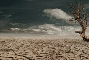 desert-landscape